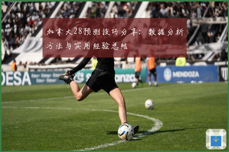 加拿大28预测技巧分享:数据分析方法与实用经验总结