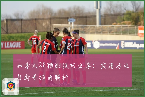 加拿大28预测技巧分享：实用方法与新手指南解析