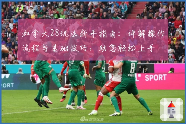 加拿大28玩法新手指南：详解操作流程与基础技巧，助您轻松上手