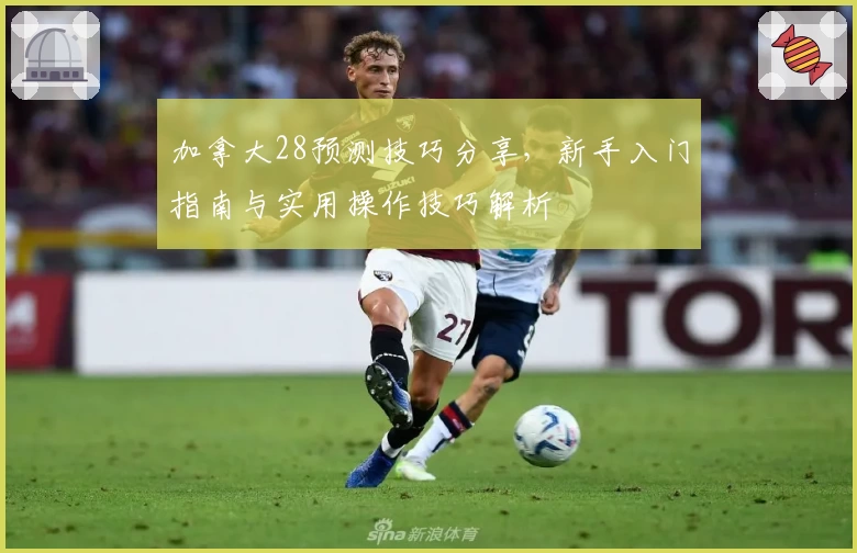 加拿大28预测技巧分享，新手入门指南与实用操作技巧解析