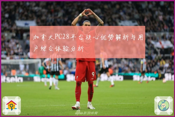 加拿大PC28平台核心优势解析与用户综合体验分析