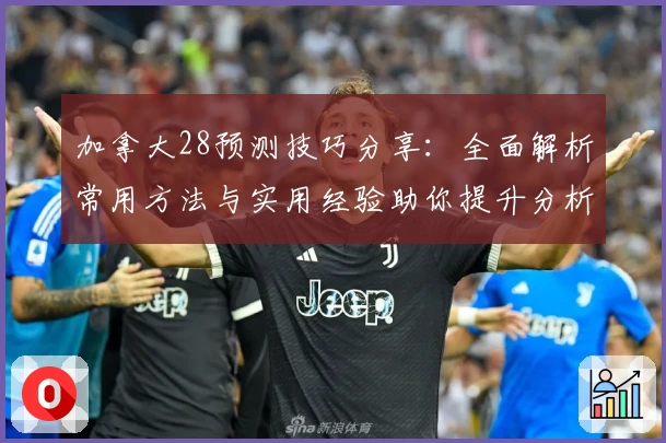 加拿大28预测技巧分享：全面解析常用方法与实用经验助你提升分析能力