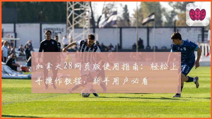 加拿大28网页版使用指南：轻松上手操作教程，新手用户必看