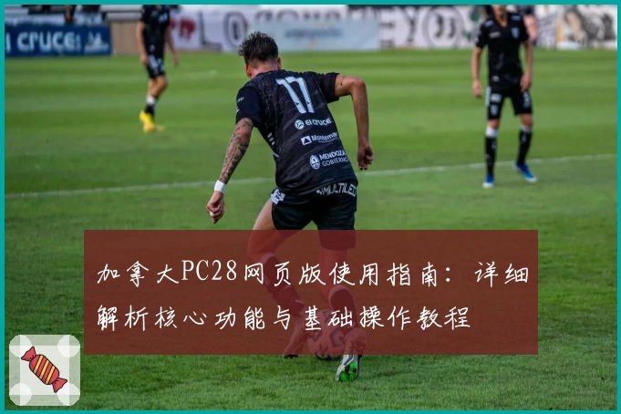 加拿大PC28网页版使用指南:详细解析核心功能与基础操作教程