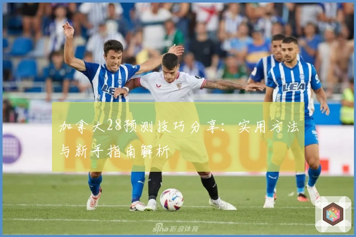 加拿大28预测技巧分享:实用方法与新手指南解析